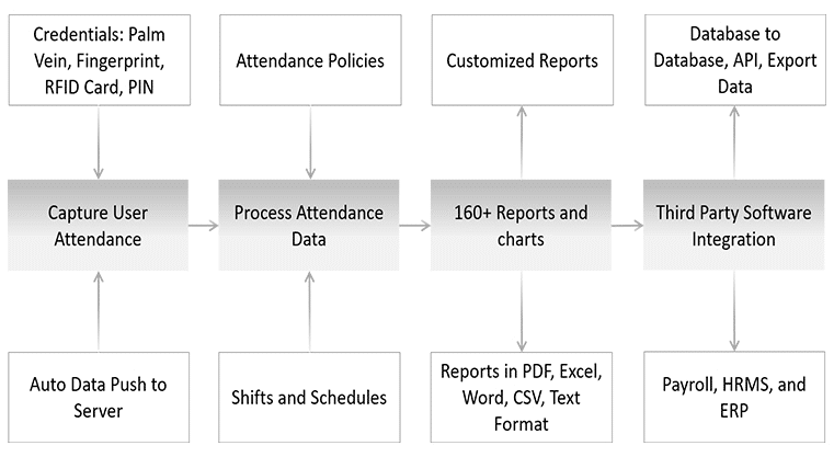 Time & Attendance